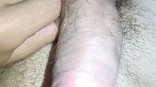 sluggish penis of a young handsome man