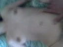 neda sex 8