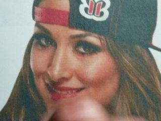 WWE Nikki Bella Cum Tribute 14