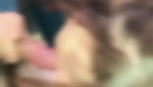 Her Fellatio Collection