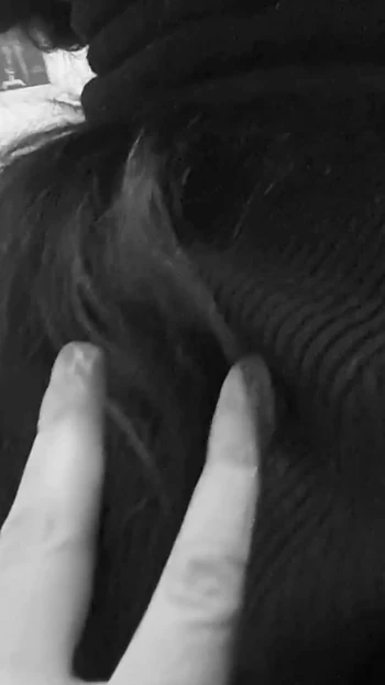 Must-share moment from "Step-sister lose the bet and is my slave for 2 hour"