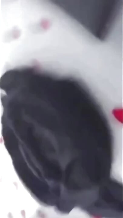 Real cheating. My wife is fucked in the ass..