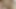 big and Venezuelan penis, intense masturbation in ,six pack, close-up, I'm your bitch, come break my ass