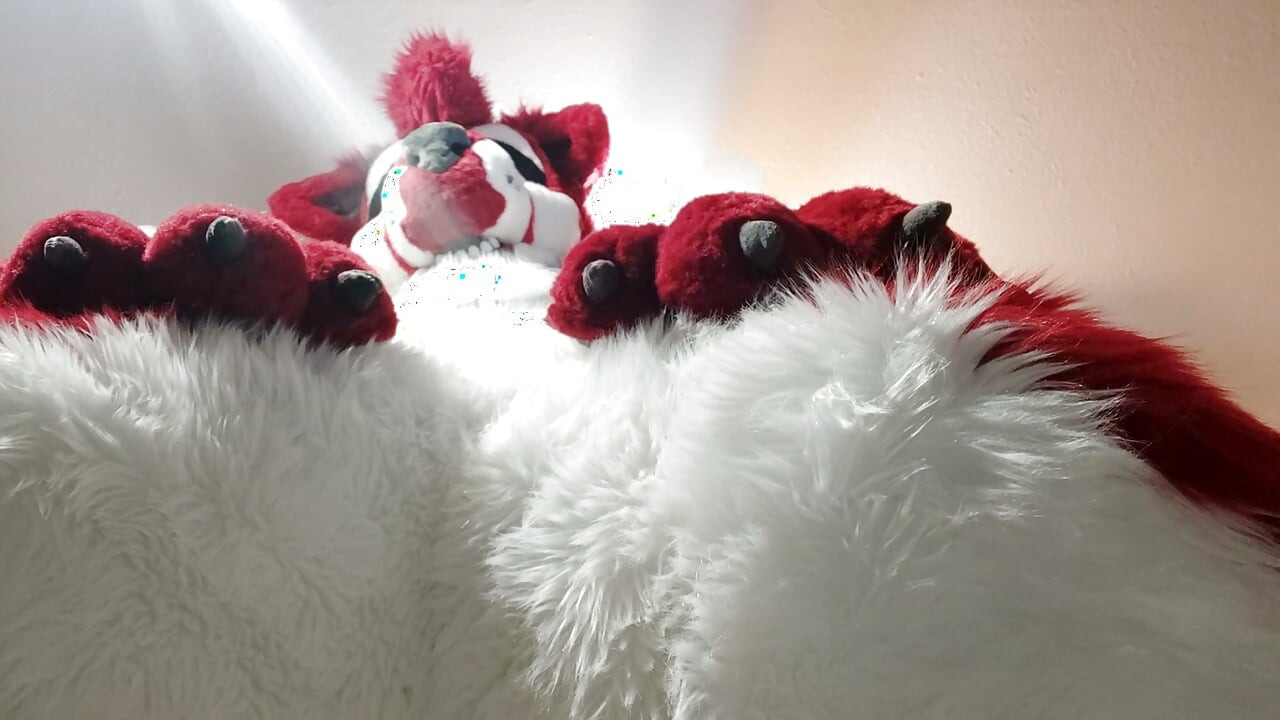 Fursuit omorashi - mokrim se u svom punom murrsuitu