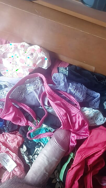Ladica za gaćice cimerice