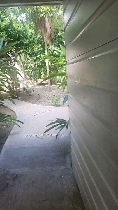 A lil slice of Paradise - Caribbean joy and delights | Clip 1