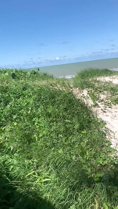 海滩上的大鸡巴