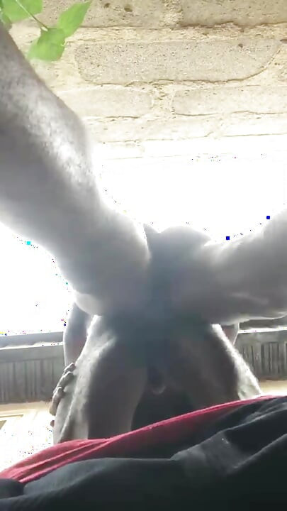 Doggy Bareback Below View