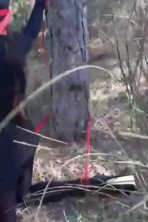 MILF Ball Gag Compilation