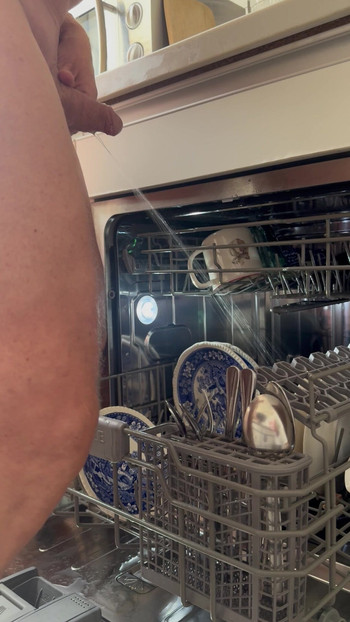 Pee in dish washer