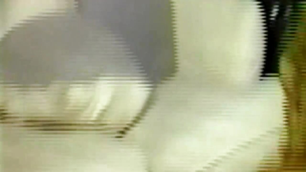 קרבות חתולים קלאסיים - חלק 2