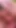 Pembe takıntılı 20 yaşındaki sıkı amcığını Alman kaltak avcısına siktiriyor