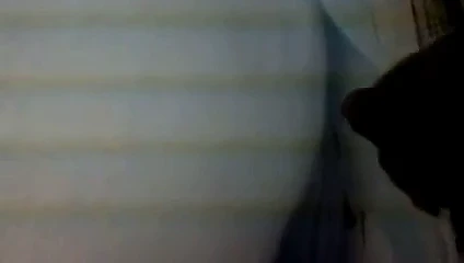 video haraç