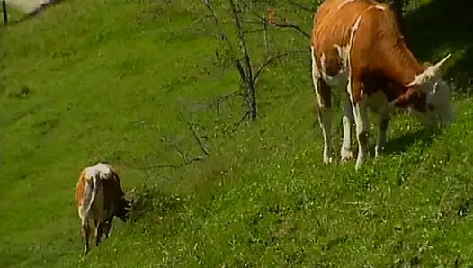 Грудастая немецкая крошка наслаждается сногсшибательной анальной оргией на улице