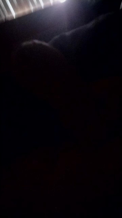Provocação de