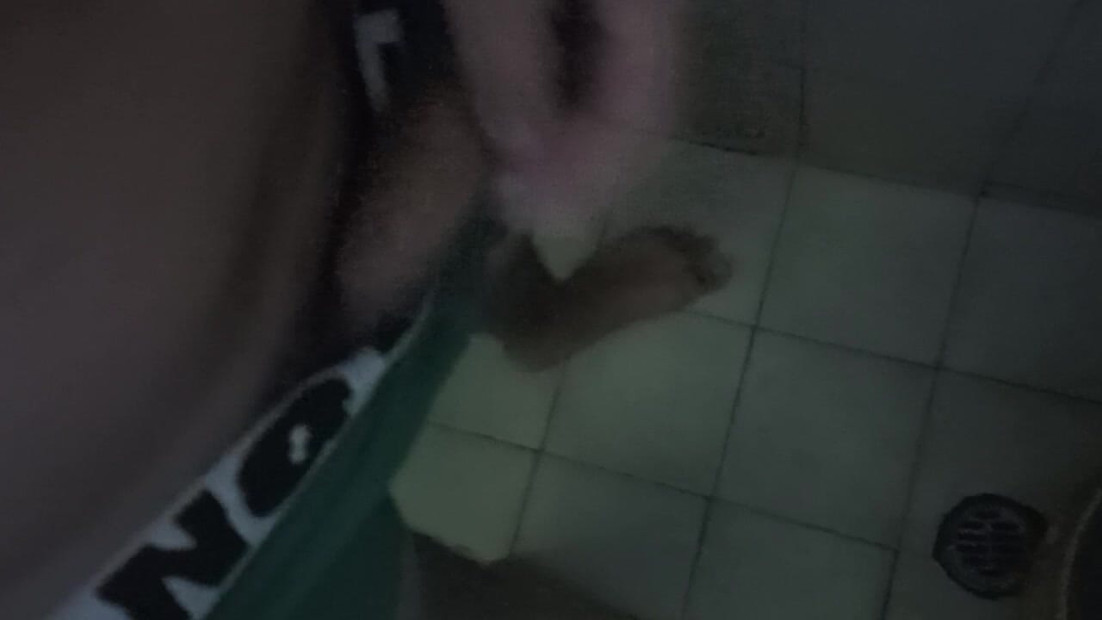 Privatni videozapisi