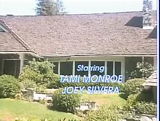 Sins of Tami Monroe (1991)