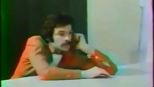 Investigasi Wakil (1977)