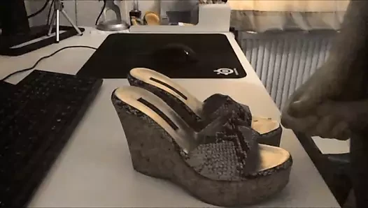 Studio pollini platform mantar takozları püskürtülüyor