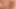 Peter please come and lick my cock