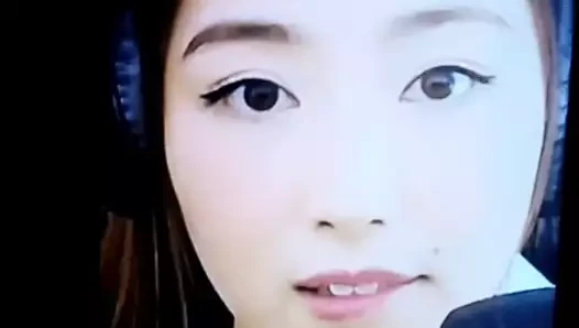 Xchocobars haraç