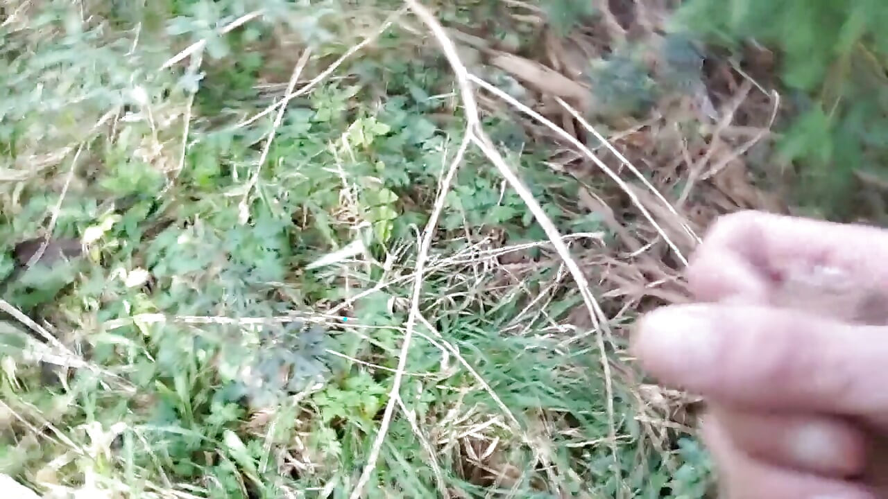 The Horny Stepfather Went on a Hike, When He Took Out His Bonita Cock a Tick Fell on His Cock