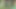 Mir wird die die Geilheit ausgetrieben werden