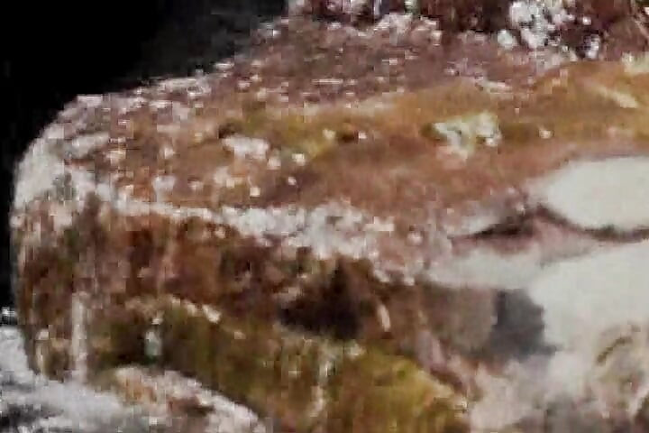 Bimbo tóc vàng bạch kim vui vẻ với dây đeo bên hồ bơi