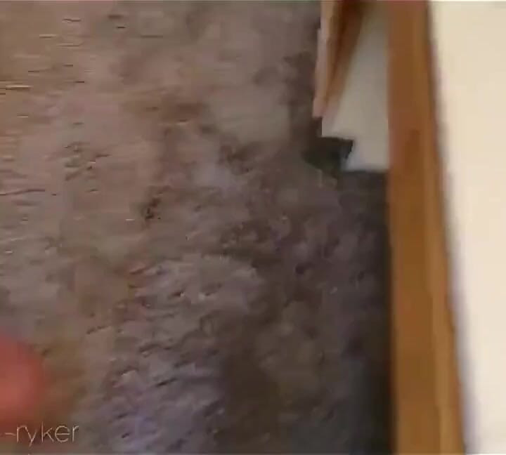 Bathroom Sex and Fucking so the Neighbors Could Watch