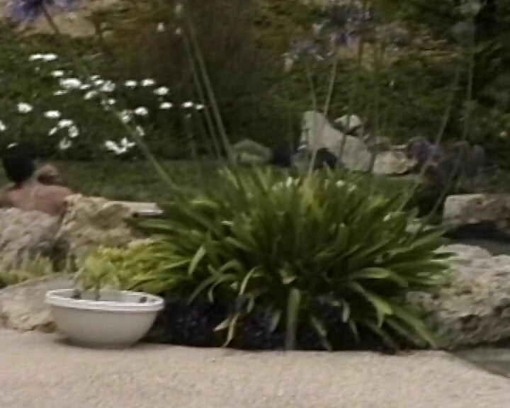 Stunning outdoor orgy action with superb French whores