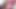 Hijab Ladyboys Cum Masturbating