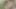 Hot Boy CUM TWICE in a ROW  BIG DICK (23cm) Perfect Body