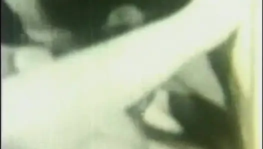 The Neighborhood Whore