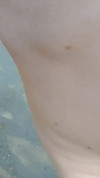 Pregled videozapisa