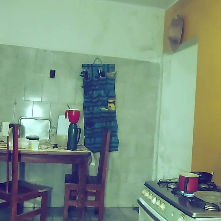Cleaning the House