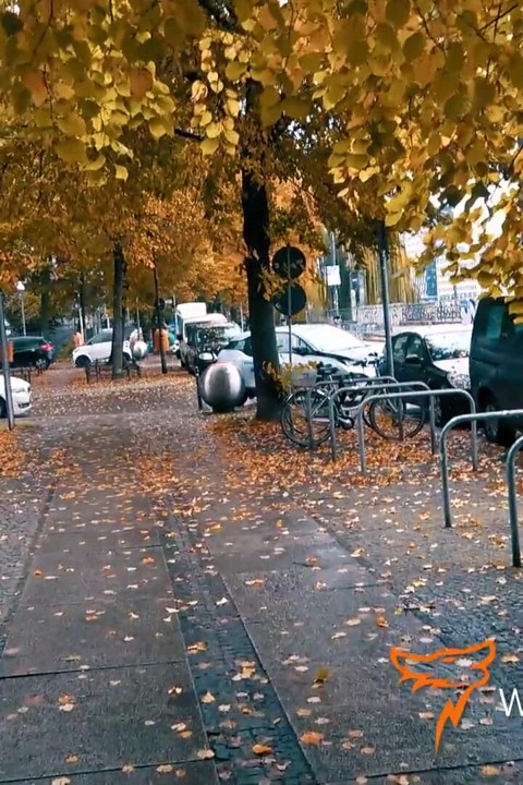 Pis Liz De Lane kör randevusu tarafından sikiliyor!