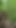 Key moment from "ALMOST BUSTED! Blowjob with FACIAL in the FOREST!"
