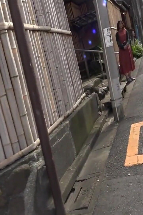 25 Years Old, Mayu Like