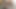 Hidden Masturbation while watching porn. Getting an orgasm.