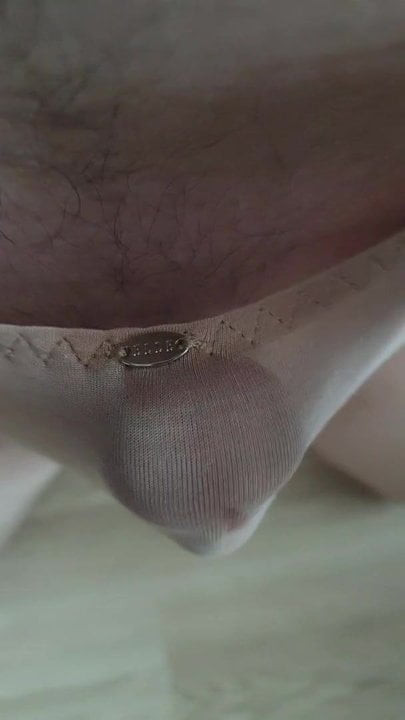 cock in panty