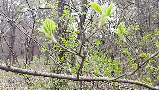 I pee and fuck my lover in the mouth in the forest so that my wife doesn’t catch us