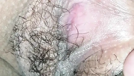 Kıllı konili Kolombiyalı