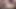 Klasik porno: John Holmes'un büyük yarağı siyah çoraplı çarpıcı bir fahişeyi sikiyor