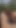Uncut hairy Brit guy outdoor forest