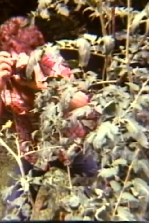 Arcadia Lake and Eric Edwards Each Other