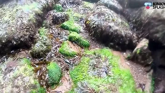 Putri duyung terlihat! Pertemuan basah dari lost cove