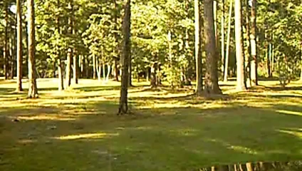 crossdressed amandas at park again