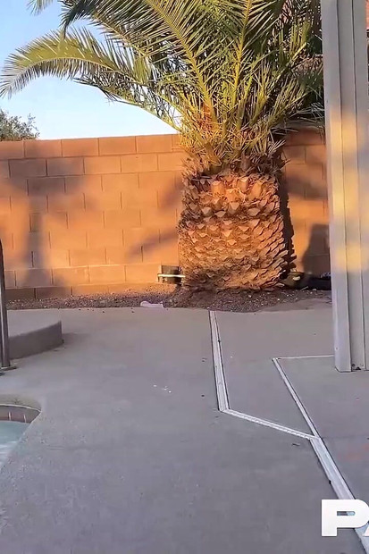 Big Booty Babe Applebottomjnz Fucks Muscle Dude by the Pool