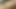 発情期のミルフが膣の濡れた部分から指を吸う