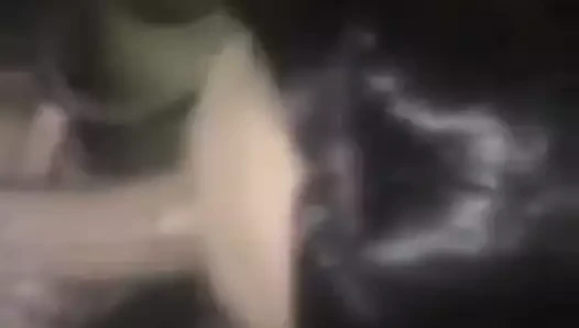 saksocu amatör korkak